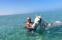 3-Hours Horse Riding and Swimming in Red Sea on the Beach and Dessert Hurghada