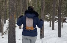 Frozen Waterfall Snowshoe Tour Estes Park