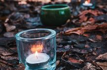 Private Forest Bathing in Serene Whistler Forests