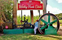 Worthy Park Estate Rum Private Tour