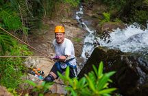 Full-Day Zipline and Waterfall Rappel at Bocawina