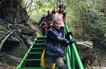 Bach Ma National Park trekking daily tour from Da Nang, Hoi An