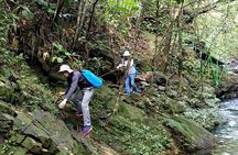 Bach Ma National Park trekking daily tour from Da Nang, Hoi An