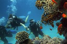Scuba Diving Experience in Alanya With Lunch and 2 Dives