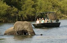  Zambezi River Safari 