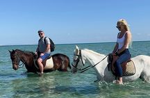 2 hours Horse riding or Camel riding at Hurghada