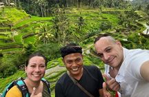 Ubud Tour: Monkey forest, rice terraces, temple, waterfall