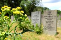 Private Walking Tour in Amsterdam: WWII Heritage & History