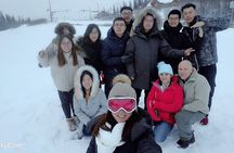 Full Day Arctic Circle Tour