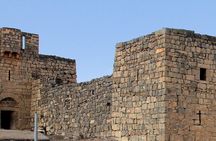 Desert Castle Private Tour