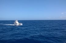 4 Hour Punta Cana Fishing Tour