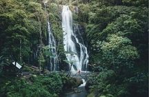 Bali Tour: Bratan Temple, Hidden Waterfall and Handara Gate