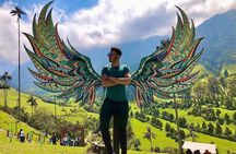 Salento, Cocora and Filandia Private Tour from Pereira or Armenia