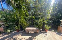 Private Tour to El Jardin Botanico, El Tuito and El Eden