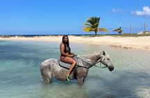 Horseback Ride and Swim Guided Tour from Montego Bay 