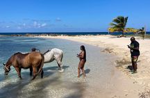 Horseback Ride and Swim Guided Tour from Montego Bay 