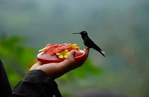 All Inclusive Multi Day Tour in Andes