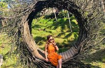 Ubud Tour: Monkey forest, rice terraces, temple, waterfall