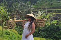 Ubud Tour: Monkey forest, rice terraces, temple, waterfall