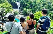 Tickets inclusive: Ubud Wonder-Full Day Tour