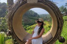 Tickets inclusive: Ubud Wonder-Full Day Tour