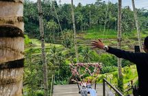Ubud Harmony Tour - private tour