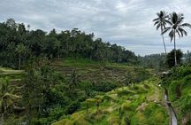 Ubud Harmony Tour - private tour