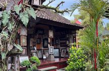 Ubud Harmony Tour - private tour