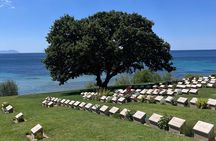 TROY and GALLIPOLI Day Trip from ISTANBUL and return