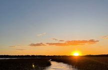 Customized Tigre Delta Tour lunch and drink included