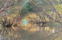 Customized Tigre Delta Tour lunch and drink included