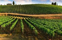Private Chianti Classico Wine Tasting Tour in Two Family Wineries