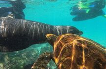 Full day Snorkeling Tour Santa Fe Island and Playa Escondida