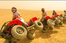 Bedouins trip in sharm Safari quad pick Camel Dinner_Stargazing 