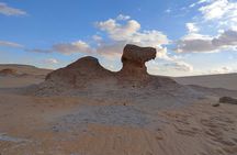 Siwa Oasis From Cairo&Giza 3 Days 2 Nights all Inclusive[Private]