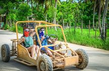 Full Day Buggy Experience and Snorkeling Cruise with Open Bar