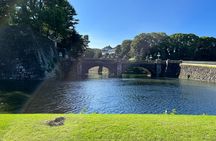 6-Hour-Tour Tokyo Highlights