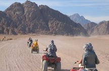 Quad Biking Safari-Camel Ride-Bedouin Dinner and Shows From Sharm