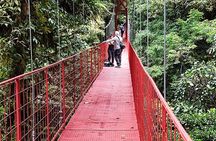 Resplendent Quetzal expedition