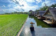 Ubud Private Tour Sightseeing and Waterfall 