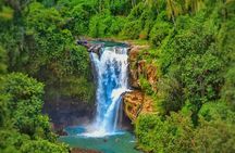 Ubud Private Tour Sightseeing and Waterfall 