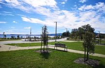 Rotorua Day Trip To Visit Te Puia Geothermal Wonderland 