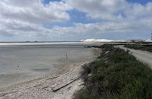 Day in Camargue Aigues-Mortes and St Marie de la mer