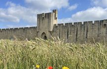 Day in Camargue Aigues-Mortes and St Marie de la mer