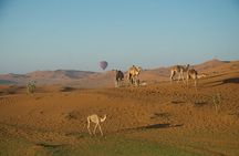 RAK Hot Air Balloon Flight