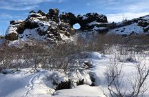 Premium Combo Day Tour Lake Myvatn and Dettifoss