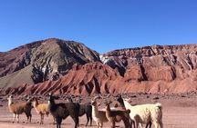 Rainbow Valley Tour in Atacama