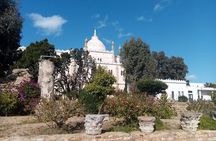 day full carthage _sidi bou said _museum of Bardo and the medina of Tunis