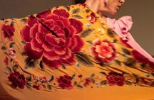 Flamenco Show at the Tablao de la Villa Madrid