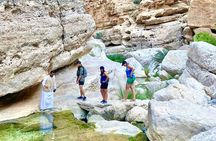 Full Day Tour in Wadi Shab